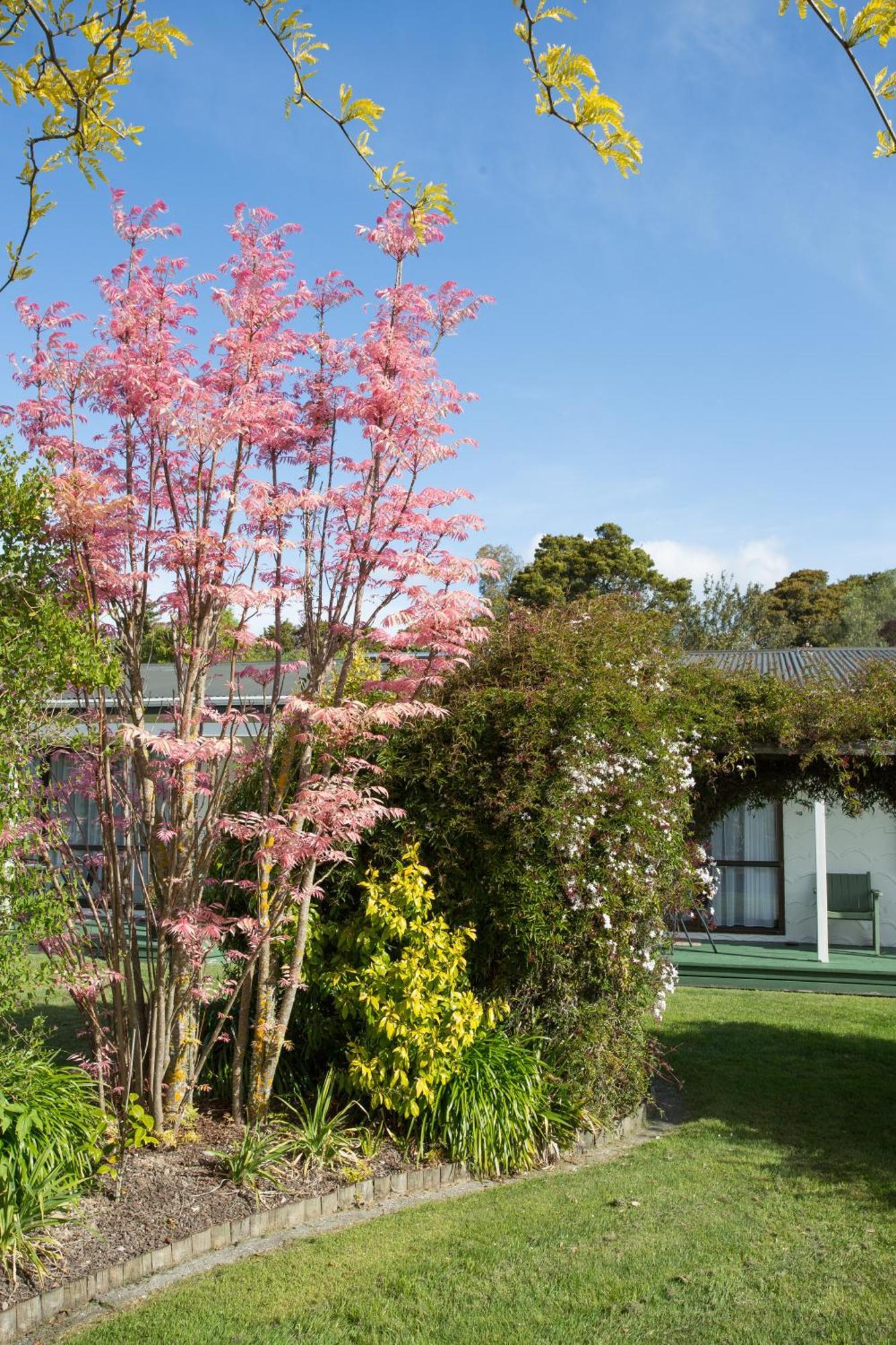 The Park Motel Motueka Exteriér fotografie